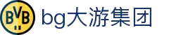 中国·bg大游(集团)有限公司官网